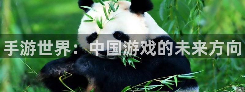 恩佐娱乐手机版最新功能介绍视频