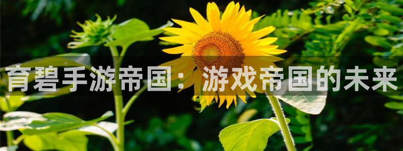 恩佐娱乐手机登录：育碧手游帝国：游戏帝国的未来