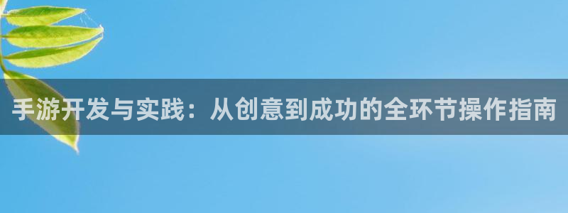 恩佐娱乐：手游开发与实践：从创意到成功的全环节操作指南