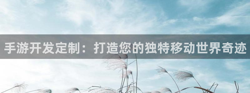 恩佐娱乐平台正规吗安全吗：手游开发定制：打造您的独特移动世界