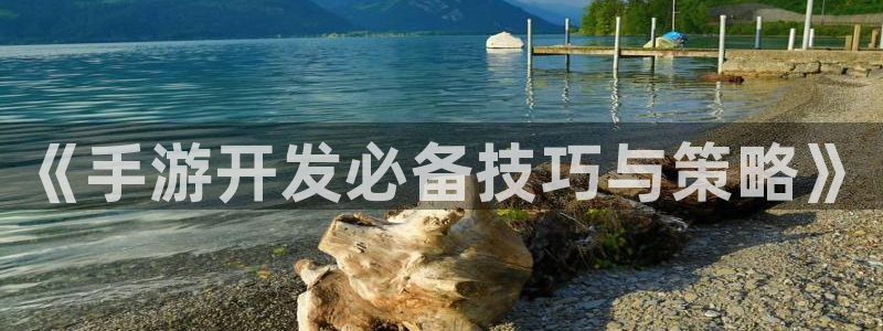 恩佐娱乐1：《手游开发必备技巧与策略》