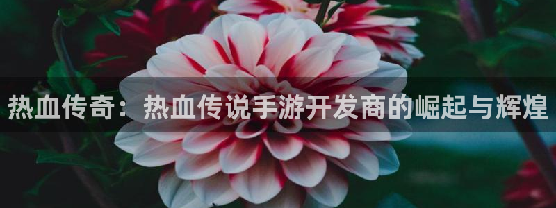 恩佐娱乐平台正规吗知乎：热血传奇：热血传说手游开发商的崛起与