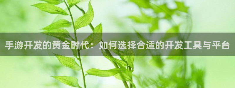 恩佐娱乐手机登录：手游开发的黄金时代：如何选择合适的开发工具