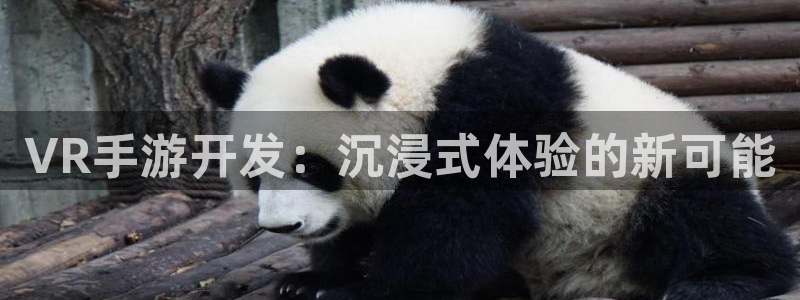 恩佐娱乐官方注册：VR手游开发：沉浸式体验的新可能