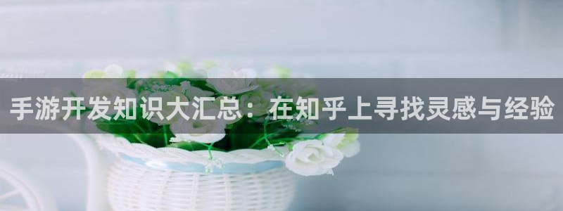 恩佐娱乐平台正规吗可靠吗：手游开发知识大汇总：在知乎上寻找灵