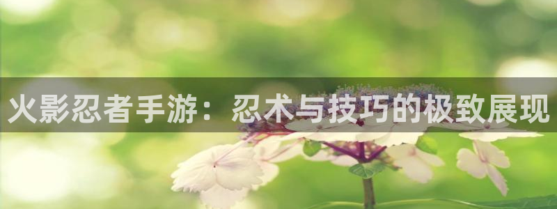 恩佐娱乐1：火影忍者手游：忍术与技巧的极致展现