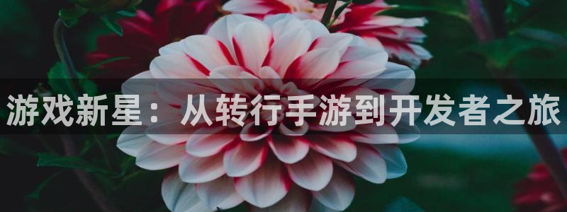 恩佐娱乐平台正规吗可靠吗：游戏新星：从转行手游到开发者之旅