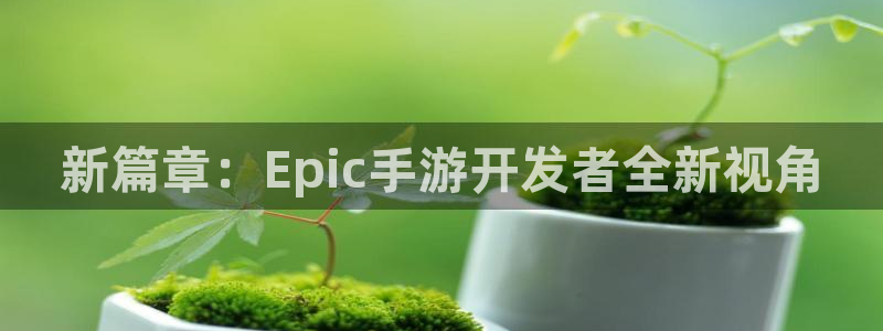 恩佐娱乐手机登录：新篇章：Epic手游开发者全新视角