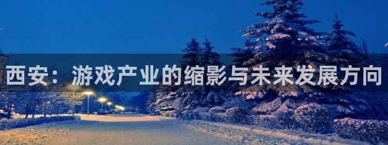 恩佐娱乐：西安：游戏产业的缩影与未来发展方向