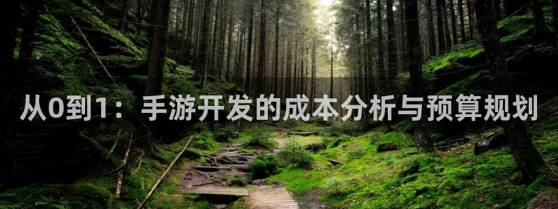 恩佐娱乐手机登录：从0到1：手游开发的成本分析与预算规划