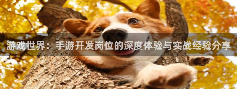 恩佐娱乐1：游戏世界：手游开发岗位的深度体验与实战经验分享