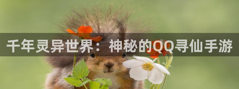 恩佐娱乐平台正规吗可靠吗：千年灵异世界：神秘的QQ寻仙手游
