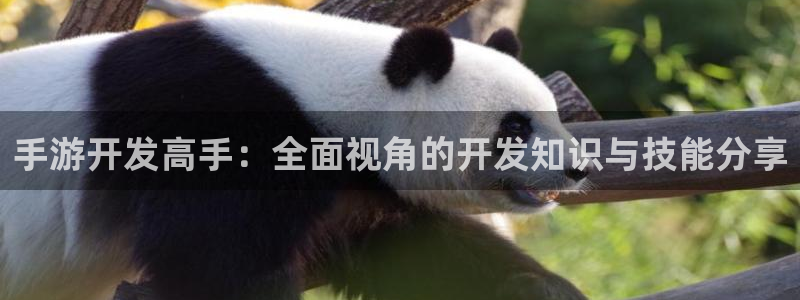 恩佐娱乐手机版最新功能介绍大全：手游开发高手：全面视角的开发
