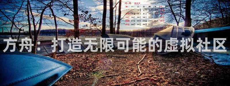 恩佐娱乐手机登录：方舟：打造无限可能的虚拟社区