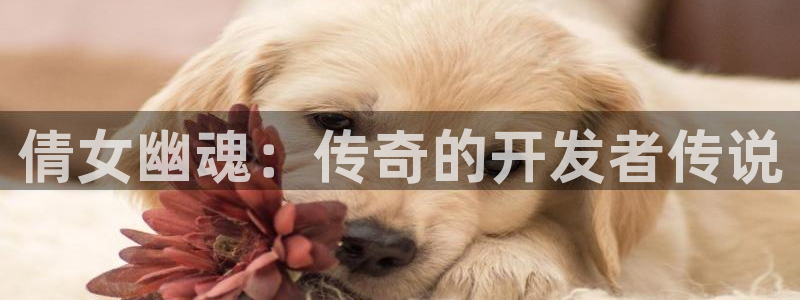 恩佐娱乐：倩女幽魂：传奇的开发者传说