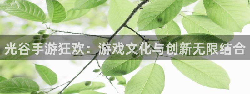 恩佐娱乐手机版最新功能介绍视频：光谷手游狂欢：游戏文化与创新